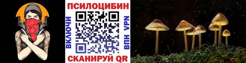Псилоцибиновые грибы GOLDEN TEACHER  Шахунья 